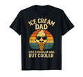 Ice Cream Dad Like Regular Dad But T-Shirt - Aesthetic Graphic for Adults - T-Shirt, Sweatshirt, Hoodie