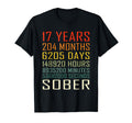 17 Year Sobriety Anniversary 17 T-Shirt - Aesthetic Graphic for Adults - T-Shirt, Sweatshirt, Hoodie
