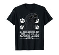 Black Labs Rule Black Labrador T-Shirt - Casual Everyday Wear Men Women - T-Shirt, Sweatshirt, Hoodie