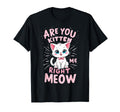 Are You Kitten Me Right Meow Funny T-Shirt - Fun Novelty Design for Adults - T-Shirt, Sweatshirt, Hoodie