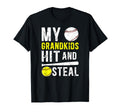 My Grandkids Hit And Steal Softball T-Shirt - Unique Graphic Unisex - T-Shirt, Sweatshirt, Hoodie