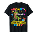 Mommy Birthday Dinosaur Raptor Funny T-Shirt - Unique Graphic Unisex - T-Shirt, Sweatshirt, Hoodie