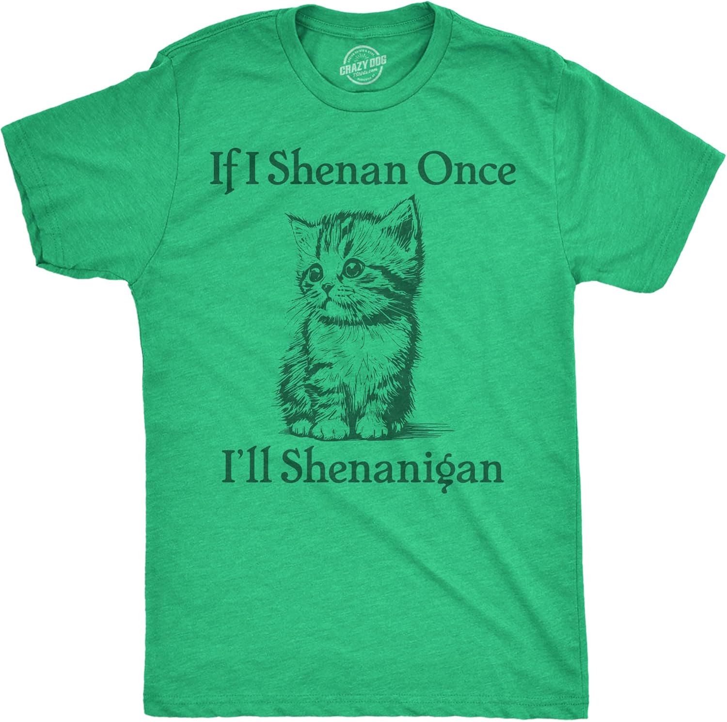 Mens Funny If I Shenan Once Ill Shenangian Sarcastic - Adult & Kids T-Shirts, Sweatshirts & Hoodies apparel design preview 1