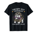 Sarcastic Grumpy Old Veteran I Do T-Shirt - Minimalist Print for Adults - T-Shirt, Sweatshirt, Hoodie