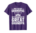 Great Grandpa Art Dad Great T-Shirt - Fun Novelty Design Unisex - T-Shirt, Sweatshirt, Hoodie
