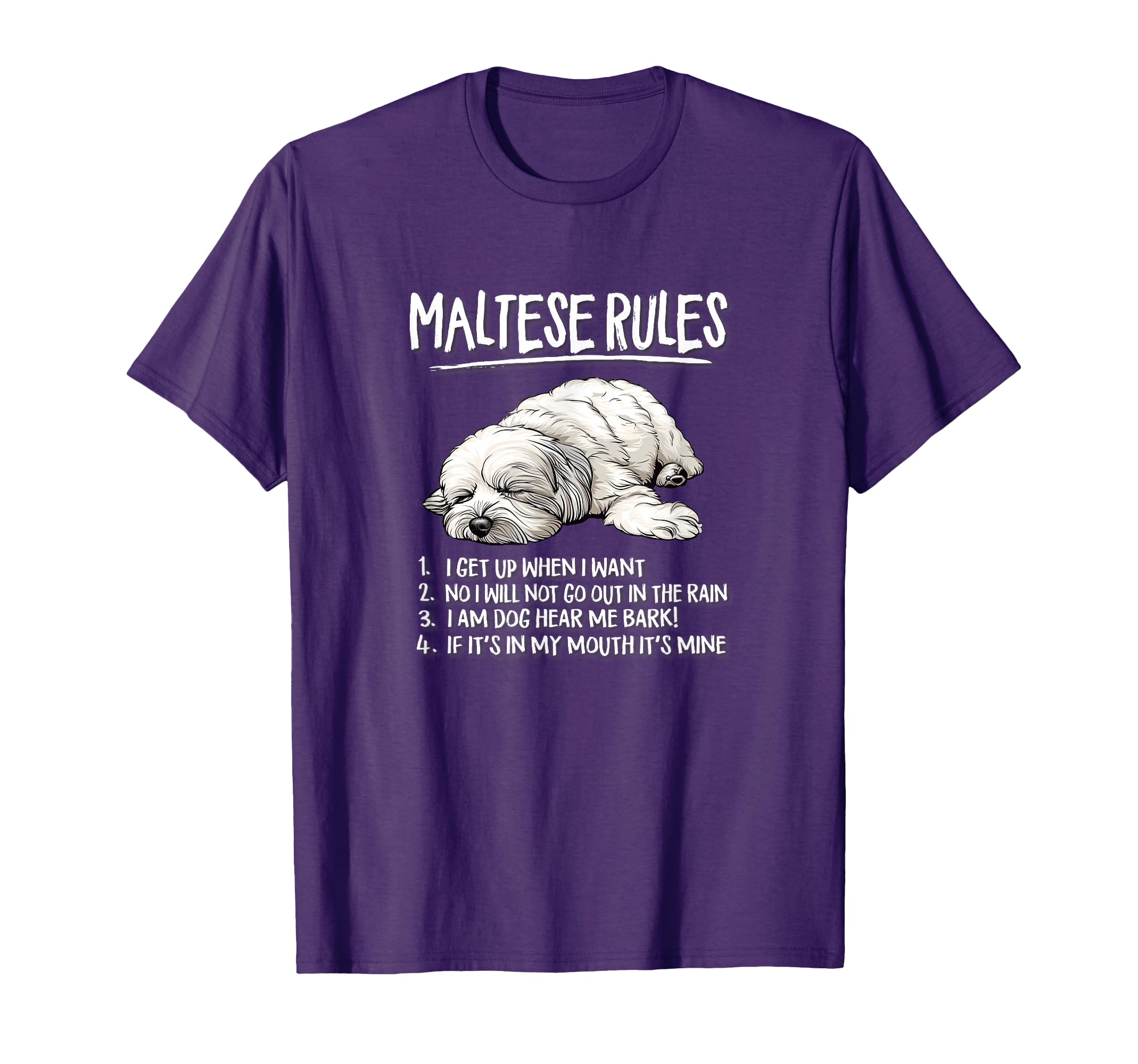 Mens Womens Funny Rules Sleeping T-Shirt - Custom Art Print for Adults - T-Shirt, Sweatshirt, Hoodie