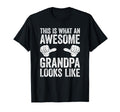This Is What Awesome Grandpa Looks T-Shirt - Minimalist Print Men Women - T-Shirt, Sweatshirt, Hoodie