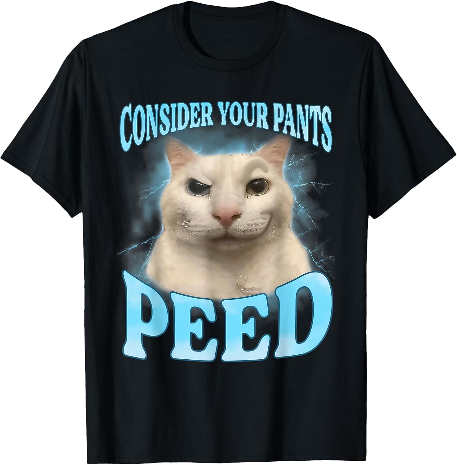 Consider Your Pants Peed Freak Funny Cat Meme Humor - Adult & Kids T-Shirts, Sweatshirts & Hoodies apparel design preview 1