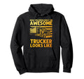 Best Truck Driver Art Dad Trucking Cdl Hoodie - Unique Graphic for Adults - T-Shirt, Sweatshirt, Hoodie
