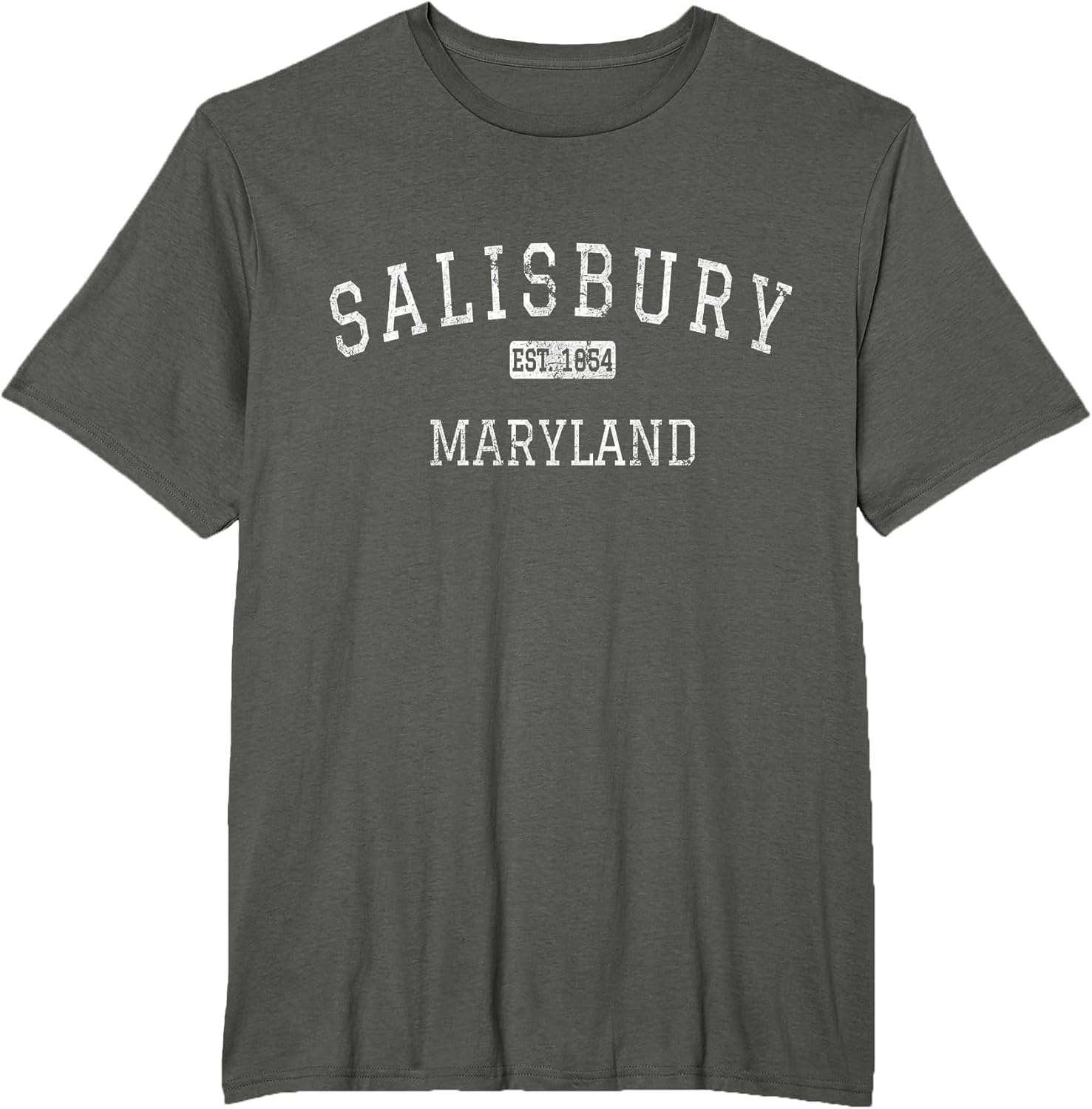 Salisbury Maryland Vintage - Adult & Kids T-Shirts, Sweatshirts & Hoodies apparel design preview 1