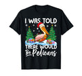 I Was Told There Would Be Pelicans Santa T-Shirt - Custom Art Print Unisex - T-Shirt, Sweatshirt, Hoodie