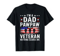 Im Dad Pawpaw And Veteran Grandpa T-Shirt - Aesthetic Graphic for Adults - T-Shirt, Sweatshirt, Hoodie