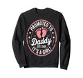 Promoted To Daddy Its Est 2026 Sweatshirt - Aesthetic Graphic for Adults - T-Shirt, Sweatshirt, Hoodie
