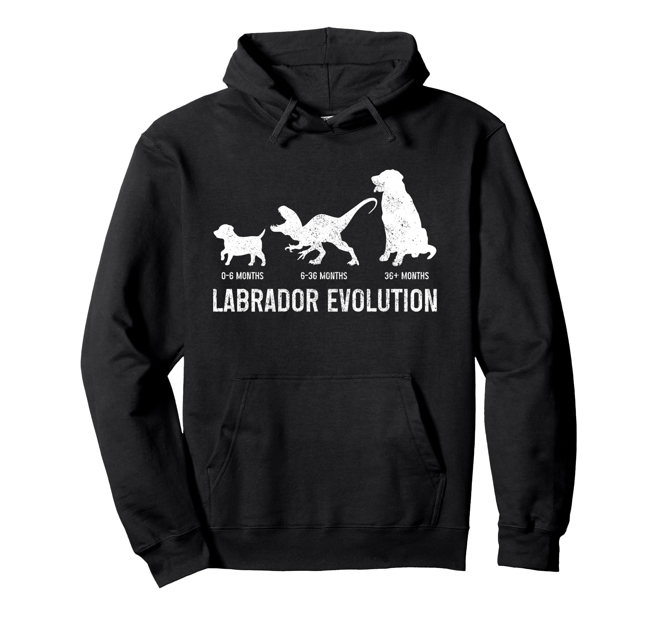 Labrador Evolution Funny Labrador Hoodie - Minimalist Print for Adults - T-Shirt, Sweatshirt, Hoodie
