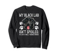 Black Lab Isnt Spoiled Black Lab Sweatshirt - Casual Everyday Wear Unisex - T-Shirt, Sweatshirt, Hoodie