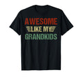 Awesome Like My Grandkids Funny T-Shirt - Casual Everyday Wear for Adults - T-Shirt, Sweatshirt, Hoodie