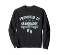 Promoted To Granddaddy Est 2024 Sweatshirt - Aesthetic Graphic for Adults - T-Shirt, Sweatshirt, Hoodie
