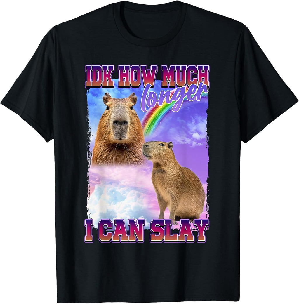 IDK How Much Longer I Can Slay Capybara - Adult & Kids T-Shirts, Sweatshirts & Hoodies apparel design preview 1