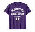 Promoted To Great Nana Est 2026 New Great T-Shirt - Graphic Print Unisex - T-Shirt, Sweatshirt, Hoodie