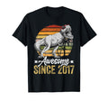Awesome Since 2017 9 Years Old 9Th T-Shirt - Novelty Apparel for Adults - T-Shirt, Sweatshirt, Hoodie