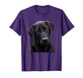 Love Is Labrador Retriever Black Lab T-Shirt - Trendy Graphic for Adults - T-Shirt, Sweatshirt, Hoodie