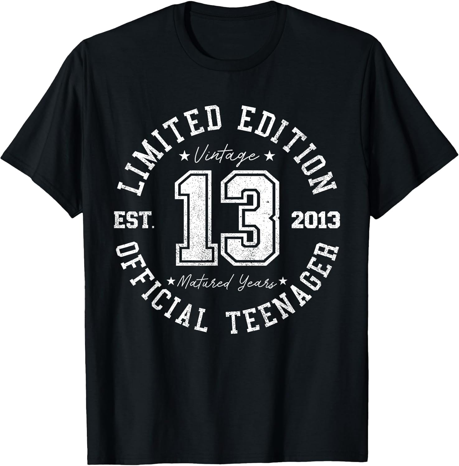 Official Teenager 13th Birthday 13 Years Old 2013 - Adult & Kids T-Shirts, Sweatshirts & Hoodies apparel design preview 1