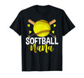Softball Lover Gift Co Hoodie - Minimalist Print for Adults - T-Shirt, Sweatshirt, Hoodie