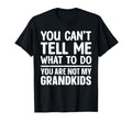 Grandpa Art Grandfather Papa Papi From T-Shirt - Graphic Print for Adults - T-Shirt, Sweatshirt, Hoodie