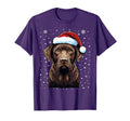 Chocolate Labrador Dog Santa Hat T-Shirt - Casual Everyday Wear for Adults - T-Shirt, Sweatshirt, Hoodie