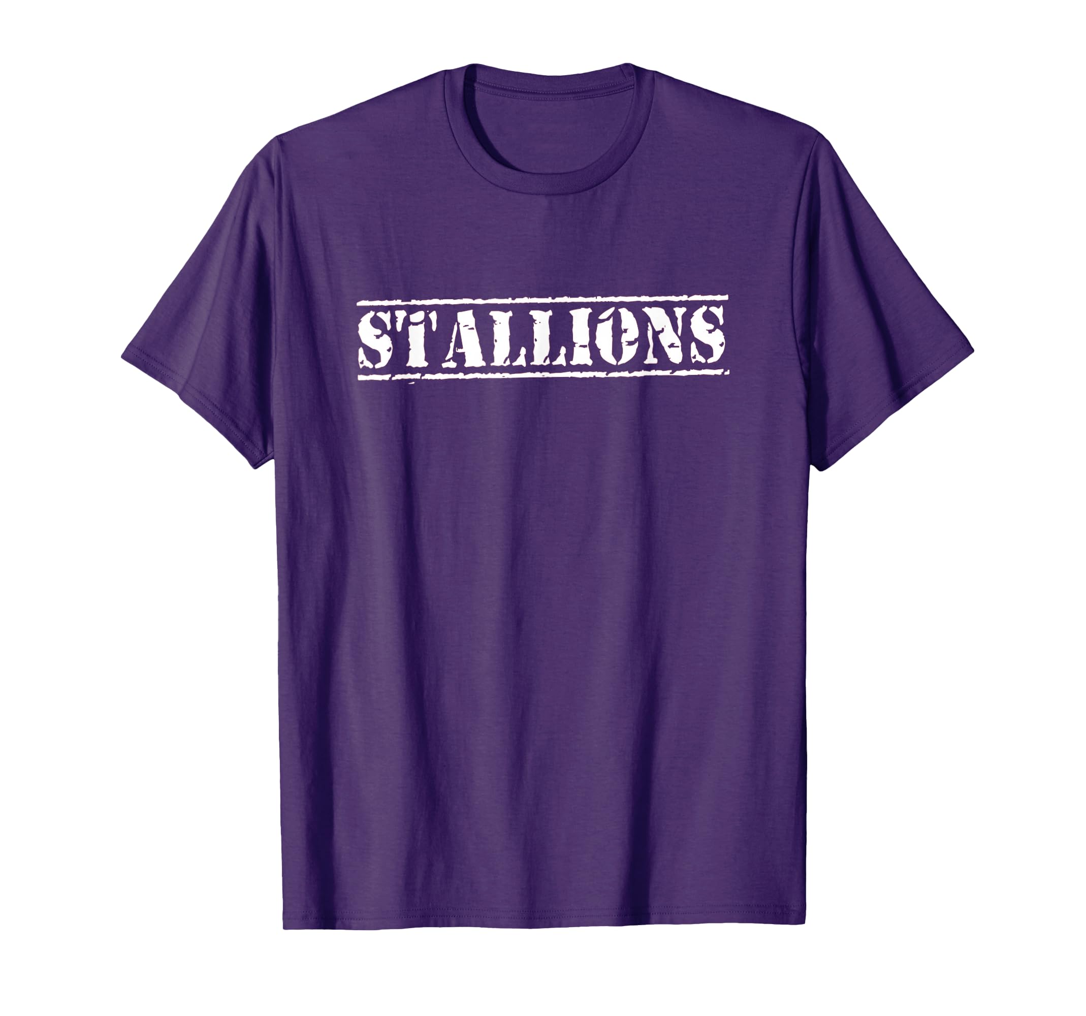 Stallions Baseball Hockey Flag T-Shirt - Aesthetic Graphic for Adults - T-Shirt, Sweatshirt, Hoodie
