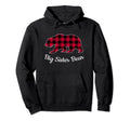 Big Sister Bear Pajama Red Buffalo Plaid Hoodie - Aesthetic Graphic Unisex - T-Shirt, Sweatshirt, Hoodie