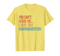 You Cant Scare Me I Have Two T-Shirt - Minimalist Print Unisex - T-Shirt, Sweatshirt, Hoodie