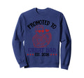 Promoted To Great Dad Est 2026 Sweatshirt - Streetwear Style Men Women - T-Shirt, Sweatshirt, Hoodie