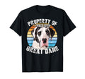 Great Dane Harlequin Property T-Shirt - Casual Everyday Wear Unisex - T-Shirt, Sweatshirt, Hoodie