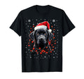 Black Labrador Lights Santa Hat T-Shirt - Aesthetic Graphic Men Women - T-Shirt, Sweatshirt, Hoodie