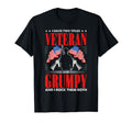 Funny Veteran Grumpy Dad Papa Grandpa T-Shirt - Streetwear Style Men Women - T-Shirt, Sweatshirt, Hoodie