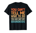 Grandpa Art Grandfather Papa Papi From T-Shirt - Streetwear Style Unisex - T-Shirt, Sweatshirt, Hoodie
