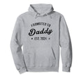Promoted To Daddy 2024 Expecting Dad Father Hoodie - Novelty Apparel Unisex - T-Shirt, Sweatshirt, Hoodie