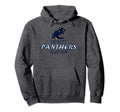 Dewitt High School Panthers Soccer Hoodie - Streetwear Style Unisex - T-Shirt, Sweatshirt, Hoodie