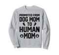 Promoted From Dog Dad To Human Dad Sweatshirt - Novelty Apparel for Adults - T-Shirt, Sweatshirt, Hoodie
