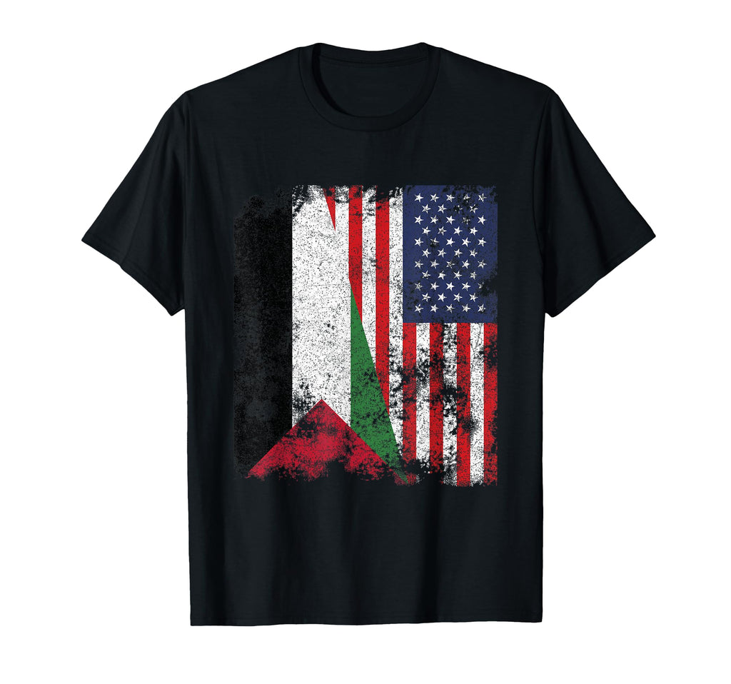 Palestine Usa Flag Distressed Half T-Shirt - Aesthetic Graphic for Adults - T-Shirt, Sweatshirt, Hoodie