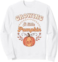 Authentic Growing Little Pumpkin Hoodie - Fun Novelty Design for Adults - T-Shirt, Sweatshirt, Hoodie