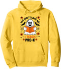 Authentic You Can T Scare Me I Teach T-Shirt - Aesthetic Graphic Unisex - T-Shirt, Sweatshirt, Hoodie