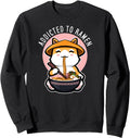 Handcrafted Addicted To Ramen Cat Kawaii Hoodie - Aesthetic Graphic Unisex - T-Shirt, Sweatshirt, Hoodie