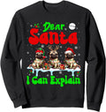 I Can Explain Three Santa Reindeer T-Shirt - Novelty Apparel for Adults - T-Shirt, Sweatshirt, Hoodie