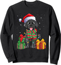 Black Labrador Retriever Lights Lab T-Shirt - Trendy Graphic for Adults - T-Shirt, Sweatshirt, Hoodie