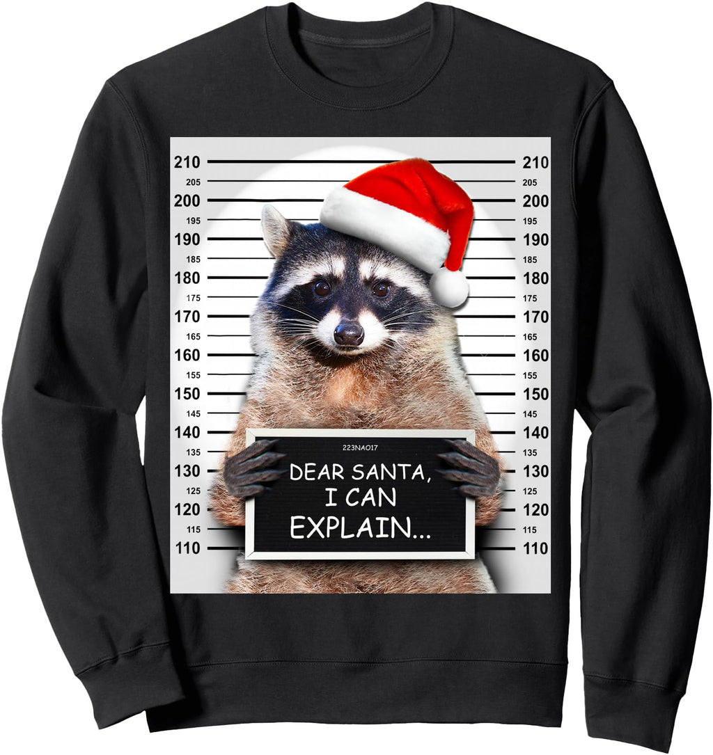 Dear Santa I Can Explain Raccoon Sweatshirt - Streetwear Style Men Women - T-Shirt, Sweatshirt, Hoodie