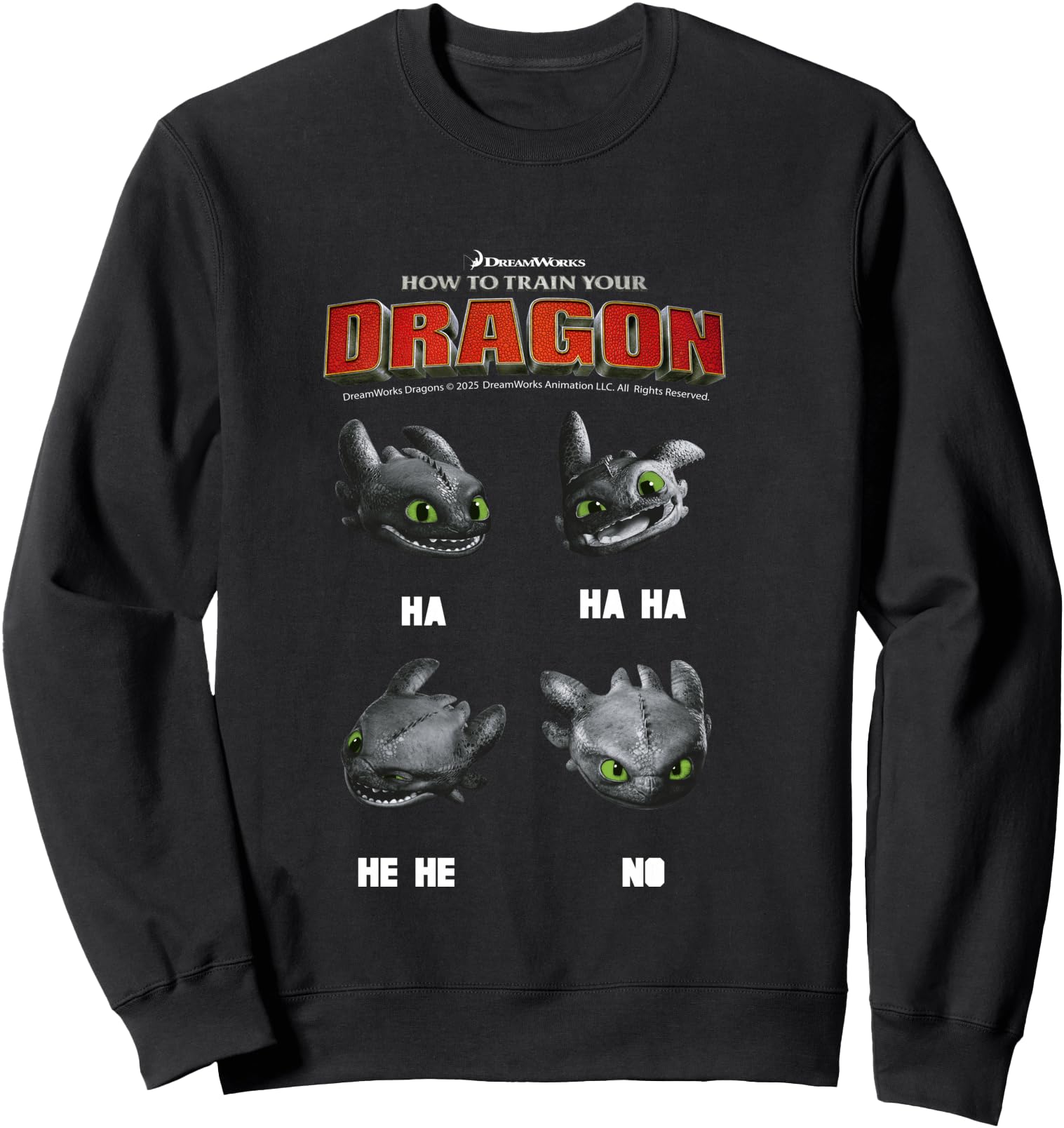 How To Train Your Dragon Movie 2025 Ha Hoodie - Novelty Apparel for Adults - T-Shirt, Sweatshirt, Hoodie