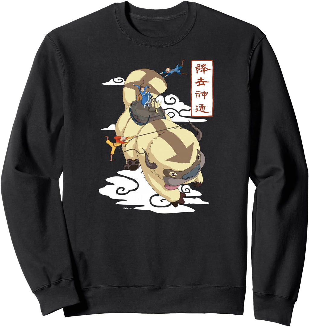Authentic Avatar Last Airbender Aang Hoodie - Novelty Apparel for Adults - T-Shirt, Sweatshirt, Hoodie