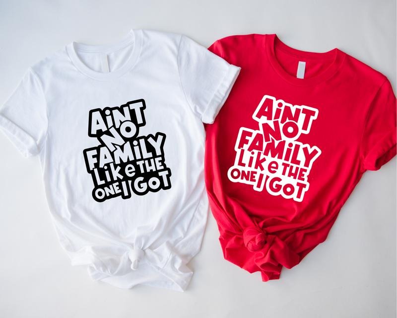 Ain'T No Family Like One Got Vacation Reunion - Adult & Kids T-Shirts, Sweatshirts & Hoodies apparel design preview 1